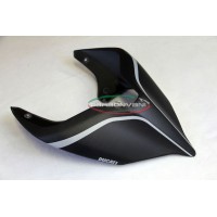 Carbonvani - Ducati Panigale / Streetfighter V4 / S / R / Speciale Carbon Fiber Tail - "R" Road Version
